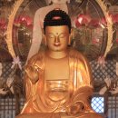 진주 월명암 목조아미타여래좌상 이미지