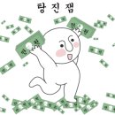 샤샤키즈풀빌라 이미지