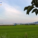 문성축사 이미지