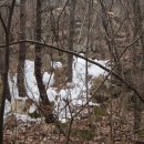 새울신협 이미지