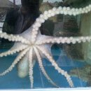 하의중학교 이미지