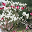 연세외과의원 이미지