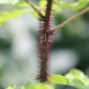 성정농장 이미지