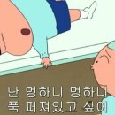 보초등록 이미지