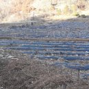 만평식당 이미지