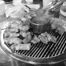 제주 탐하리 이미지