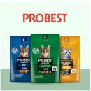 #ANF 사료가 만들어지는 과정을 눈으로 보고 왔어요! (+우리와 연구소 투어)