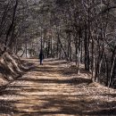 2024. 3. 23(토요일) 이천 걷고 싶은 둘레길(동원대학교---산수유마을) 이미지