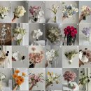 로즈버드 - 군산시 | 웨딩부케 - 로즈버드플라워: 송파구 본식,촬영 디렉팅 웨딩부케 내돈내산 예약 후기
