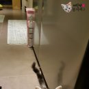 봉자PC 이미지