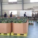 우곡그린복합영농조합법인 이미지