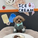 개좋은 유치원 이미지