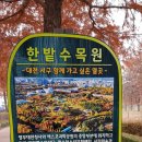 유성 족욕체험길 이미지