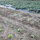 은현농장 이미지