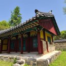 사당 Daum카페