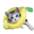 카라인 용품점 이미지