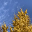 60계치킨 홍제홍은점 | [깐부치킨 홍은벽산아파트점] 젠슨황 따라잡기 홍제역 치킨