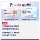 동해 무릉별유천지 라벤더 축제 전 다녀온 실시간 후기 및 입장료 할인 정보