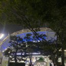(주)코리아세븐 사직야구장본점 | [사직야구장] 8월 17일 SSG 랜더스 VS 부산 롯데 직관 :1루 내야필드석 135블럭 10열 후기