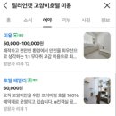 밀리언캣<millioncat> | 집사의 이사준비, 23박 고양이 호텔 예약 (분당 밀리언캣)