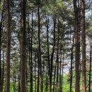 팔현만두 | 남양주 팔현캠프 또 가고 싶은 캠핑장