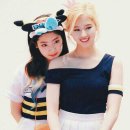 사다 이미지