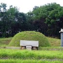 최제, 최혁 효자 정문 이미지