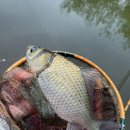 2박3일낚시터 이미지