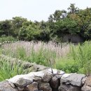 무릉다락방 이미지