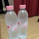 별망초등학교 이미지