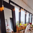 하도바다 이미지