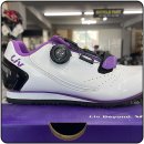 자이언트파마 이미지