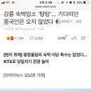 강릉 숙박업소 '텅텅'... 기다리던 중국인은 오지 않았다 이미지