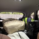 북면413 | 천안 근교 / 몽키캠핑장 / 오토캠핑 4-2 내돈내산 후기