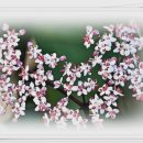 한복(기초) 이미지