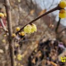 공부24