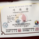 이석배 선배, 부산 비치울트라 100km 다대포 해수욕장~진해 왕복 이미지