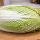 삼겹살집 사장님이 몰래 알려준 알배추 겉절이 '200%' 맛있게 만드는 법 이미지