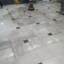 용담광택 이미지