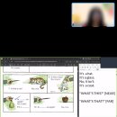 직장인원어민영어(야) | 직장인 1:1 원어민 화상영어 나우잉글리쉬 수강 솔직 후기