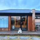 소락뜨레 이미지