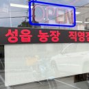 철이네흑염소