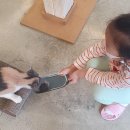 뱅갈온니 | 전주고양이카페 아이가 좋아하는 고양이를 만났어요.