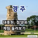 역사체험 | 아이와 함께하는 불국사 가족동반 경주 역사체험 솔직 후기