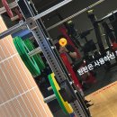 박스짐 | 짐박스 방배 후기 (등)
