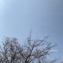 라모라레스토랑 네이버블로그