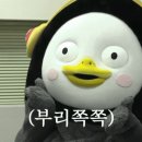 엠디와이 이미지