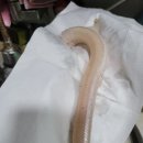 빈스민박 이미지