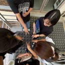 [석사 15주차] 석사 첫 학기 마지막 주