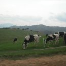 고원 경로당 이미지